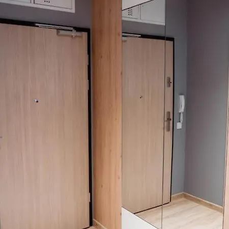 Apartament Zebra Z Bezplatnym Parkingiem I Klimatyzacja